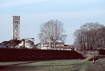 Lucca, mura