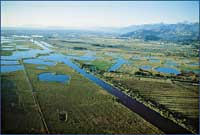 lago di massaciuccoli