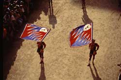 Palio Race of Siena